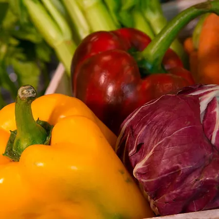 斯佩齐亚cdh酒店 斯培西亚